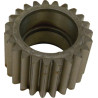 Pignon CARRARO CI339634