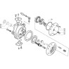 Pignon CARRARO CI339634