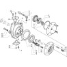 Pignon CARRARO CI339634
