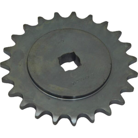 Pignon GASPARDO G16630410R