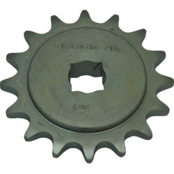 Pignon GASPARDO G16630400R