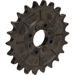 Pignon GASPARDO G66248167R