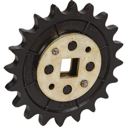 Pignon GASPARDO G66248165R
