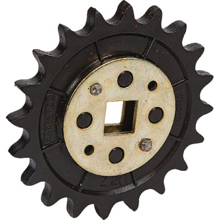 Pignon GASPARDO G66248165R