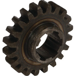 Pignon JF 813062444X
