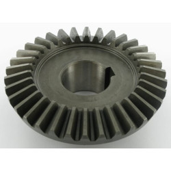 Pignon SITREX 100269