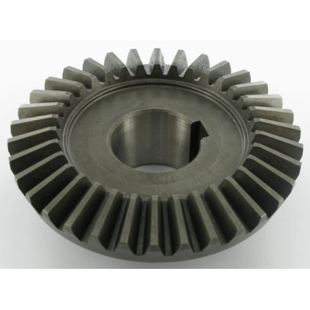 Pignon SITREX 100269