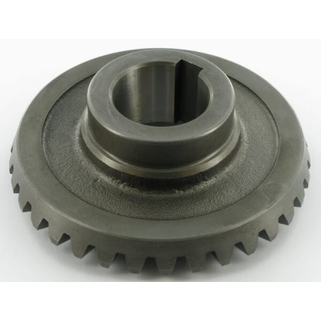 Pignon SITREX 100269