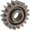 Pignon MASCHIO M28100205R