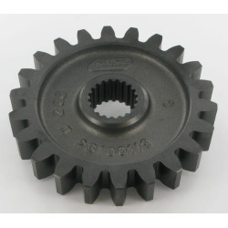 Pignon MASCHIO M26100119R