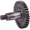 Pignon UNIVERSEL 56202510N