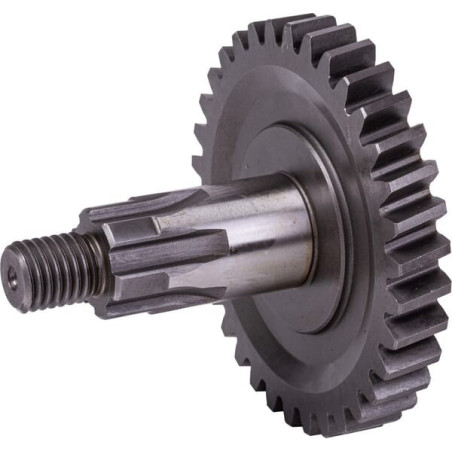 Pignon UNIVERSEL 56202410N