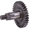 Pignon UNIVERSEL 56202410N