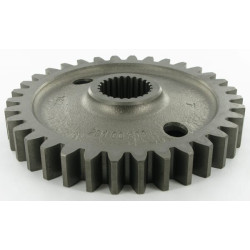Pignon MASCHIO M29100309R