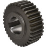 Pignon BATTIONI PAGANI W186MA