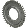 Pignon UNIVERSEL 55900110N