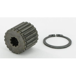 Pignon BORELLI MOA020