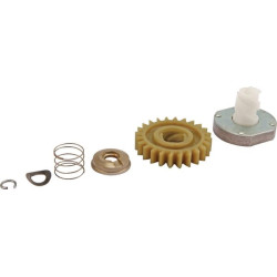 Pignon BRIGGS ET STRATTON 499308