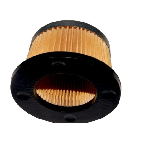 FILTRE à AIR Tecumseh 30727