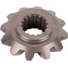 Pignon GOLDONI 00066259
