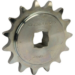 Pignon GASPARDO G16630390R