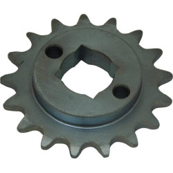 Pignon GASPARDO G22250044R