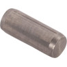Goupille RECINSA 10837610N