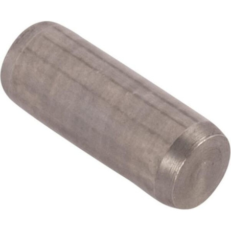 Goupille RECINSA 10837610N