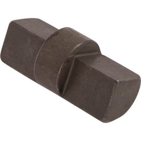 Goupille RECINSA 585445N