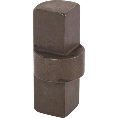 Goupille RECINSA 585445N
