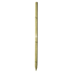 Piquet de clôture bois 180cm OCTO WOOD 1666260618