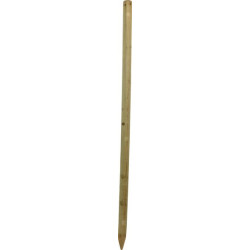 Piquet de clôture bois 200cm OCTO WOOD 1666260720