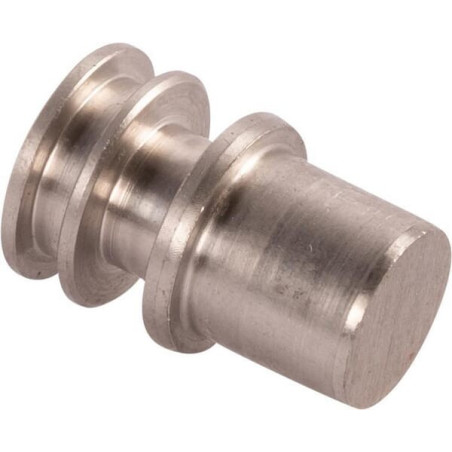 Piston GOLDONI 00039324