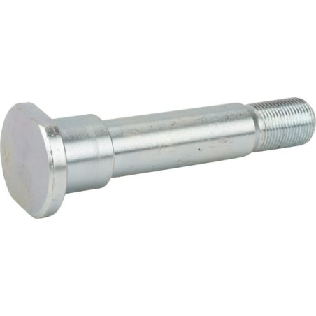 Pivot MASCHIO M36100398R