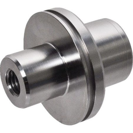 Pivot MASSEY FERGUSON 3426332M1