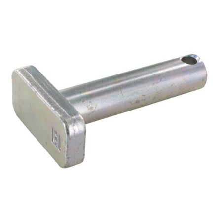 Pivot MASSEY FERGUSON 4313492M1