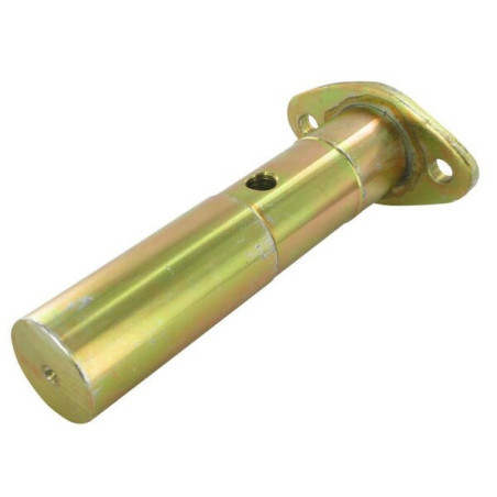 Pivot UNIVERSEL 81802838N