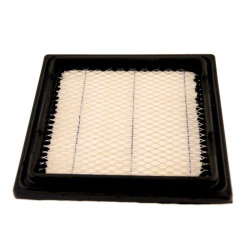 FILTRE à AIR Tecumseh 37360