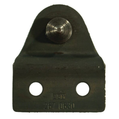 Plaque ESM 2670630