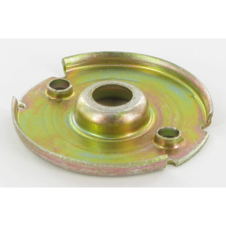 Plaque BRIGGS ET STRATTON 224321