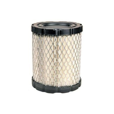 Filtre à air BRIGGS et STRATTON 798897