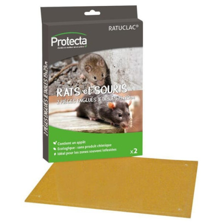 Plaque PROTECTA EQPIE01028
