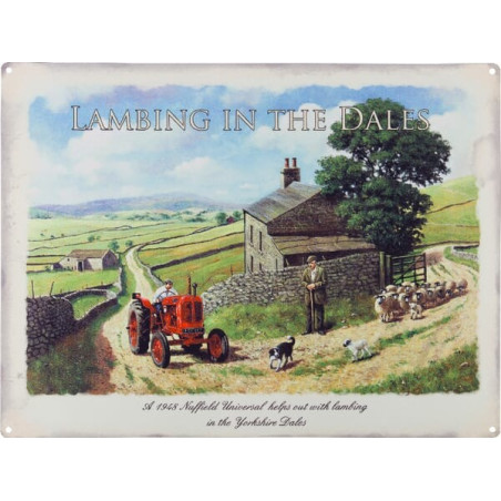 Plaque TRACTORFREAK TTF9135