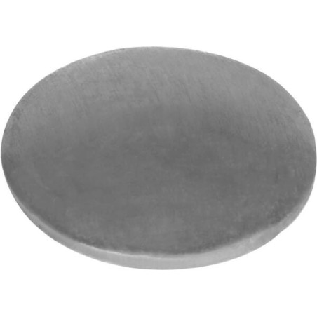 Plaquette BRIGGS ET STRATTON 699810