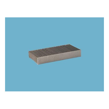 Filtre carbone PANCLEAN AXK1009