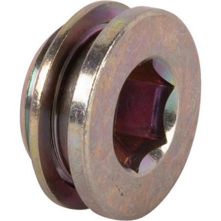 Obturateur SPICER DANA 1120161001