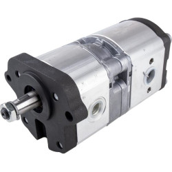Pompe LANDINI 3661228M91