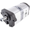 Pompe LANDINI 3652099M91