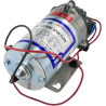 Pompe SHURFLO DIP8000543936