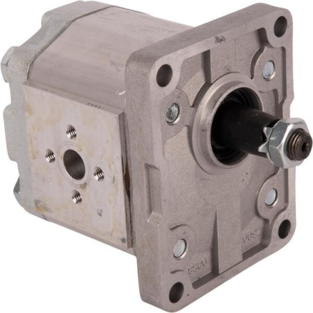 Pompe GOLDONI 02030045